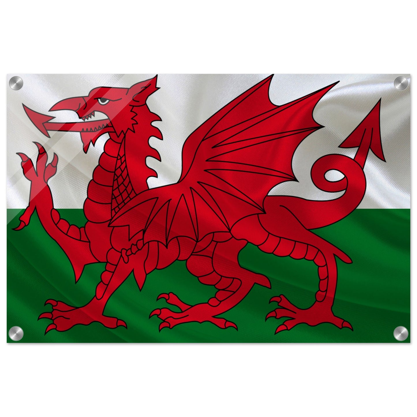 Welsh Flag - Acrylic Print