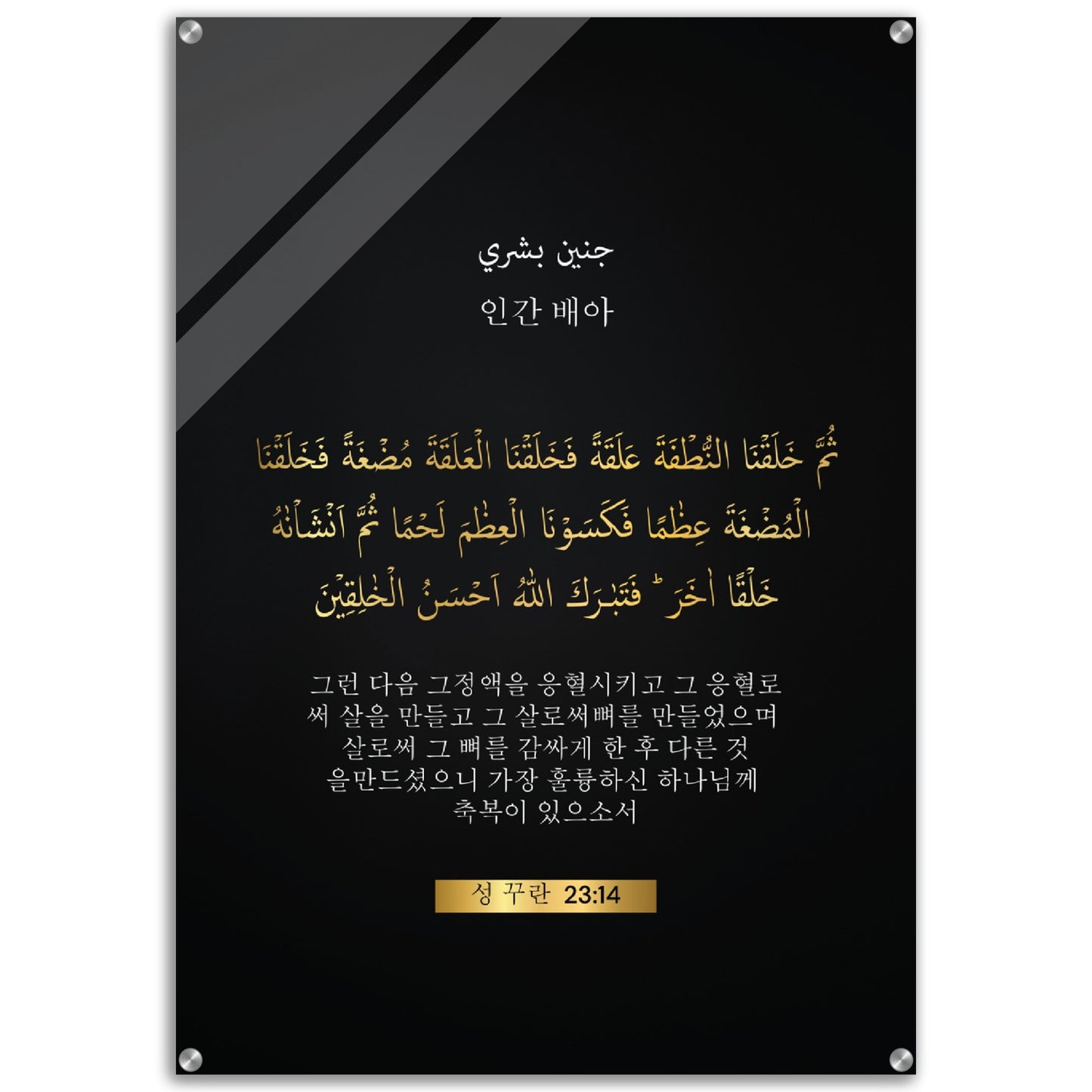 Human Embryo - 인간 배아 ( ingan baea )- Quran in Korean Acrylic Print