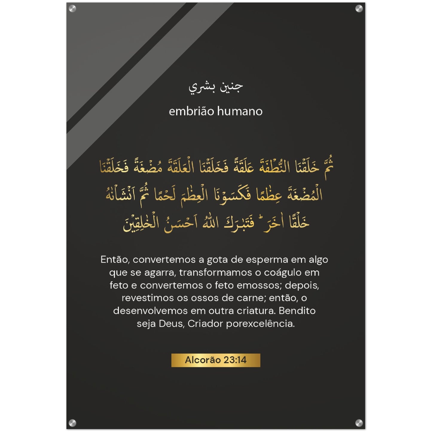 Human Embryo 3rd -embrião humano Quran in Spanish Acrylic Print