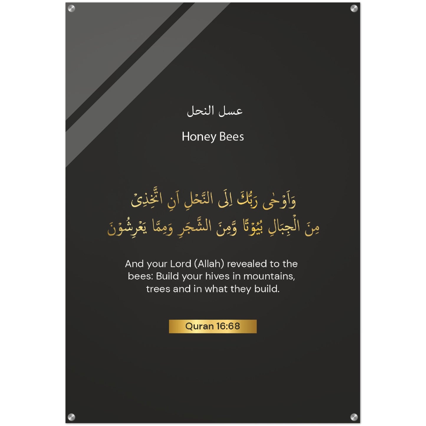 Honey Bee Quran in English Acrylic Print